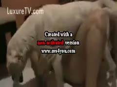 Dog pumping away on a legal age teenager doxy